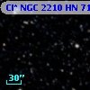 Cl* NGC 2210     HN      71