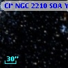 Cl* NGC 2210    SOA      Y