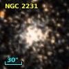 NGC  2231