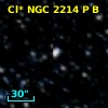 Cl* NGC 2214      P      B