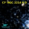 Cl* NGC 2214      P      D