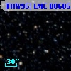 [FHW95] LMC B0605-6735