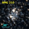 BMG 210
