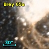 Brey  65a