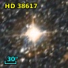 HD  38617