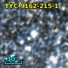 TYC 9162-215-1