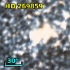 HD 269859