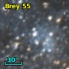 Brey  55