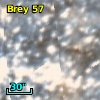 Brey  57