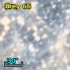 Brey  66
