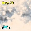 Brey  73