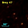 Brey  47