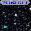TYC 9163-529-1