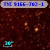 TYC 9166-702-1