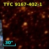 TYC 9167-402-1