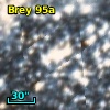 Brey  95a