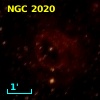 NGC  2020