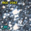 NGC  2042