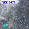 NGC  2077