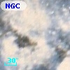 NGC  2078