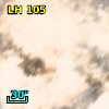 LH 105
