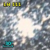 LH 111