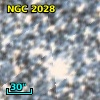 NGC  2028