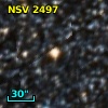 NSV  2497