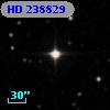 HD 238829