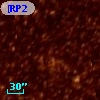 [RP2006]  656