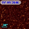 SV* HV  2646