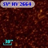 SV* HV  2664