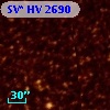SV* HV  2690