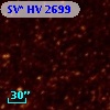 SV* HV  2699