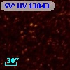SV* HV 13043