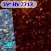 SV* HV  2713