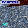 SV* HV  2718