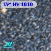 SV* HV  1010