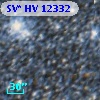 SV* HV 12332