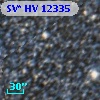 SV* HV 12335