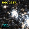 NGC  2137