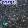 [DCL92]   7
