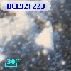 [DCL92] 223
