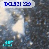 [DCL92] 229