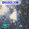 [DCL92] 230