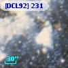 [DCL92] 231
