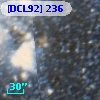 [DCL92] 236