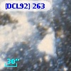 [DCL92] 263