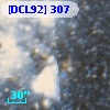 [DCL92] 307