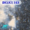 [DCL92] 313